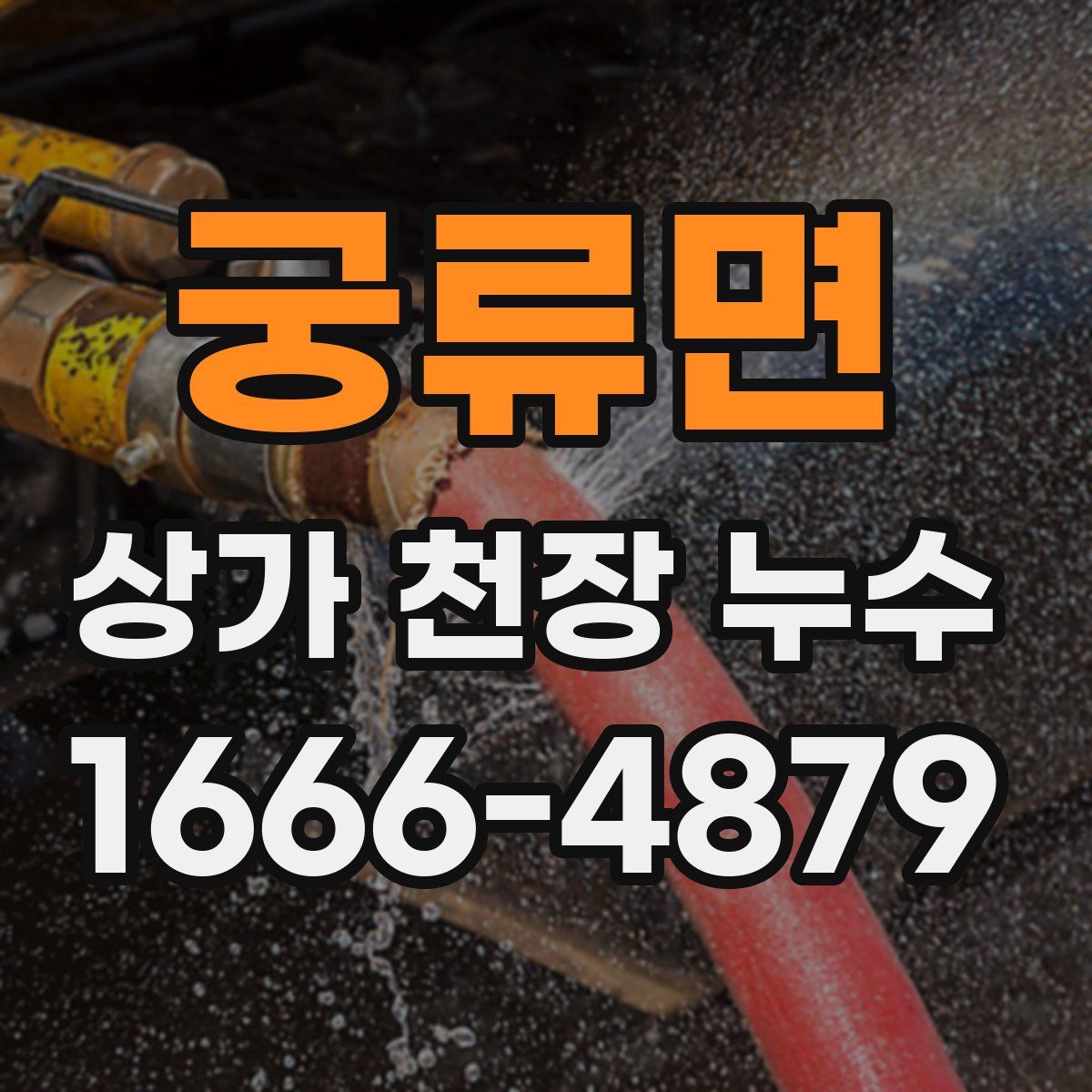 궁류면 상가 천장 누수