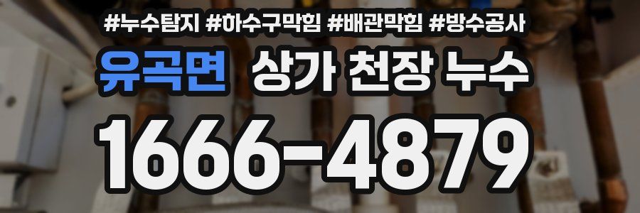 유곡면 상가 천장 누수