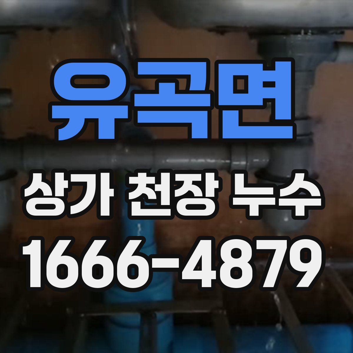 유곡면 상가 천장 누수
