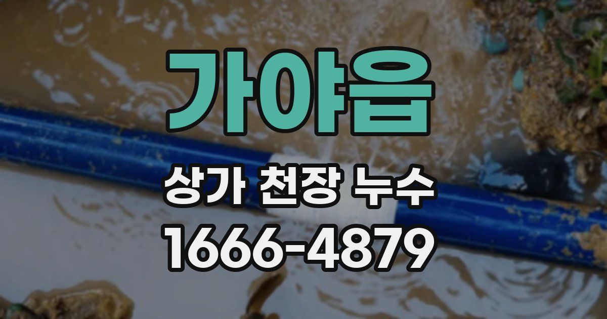 가야읍 상가 천장 누수