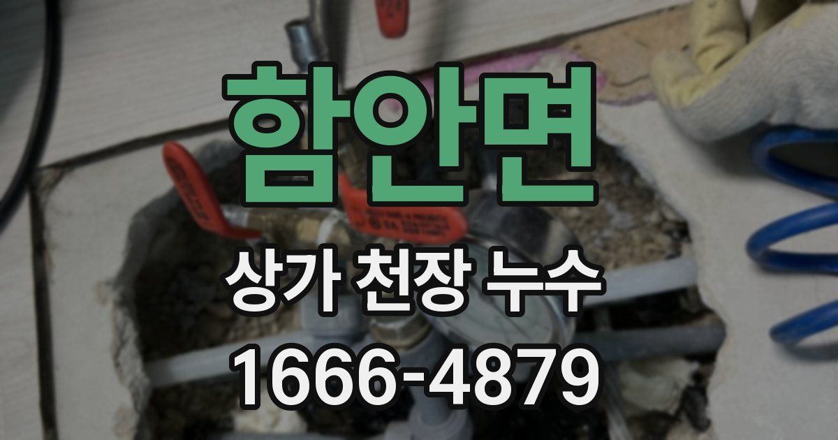 함안면 상가 천장 누수