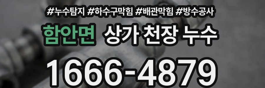 함안면 상가 천장 누수