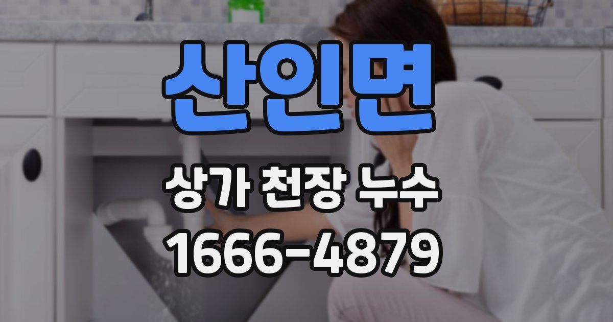 산인면 상가 천장 누수