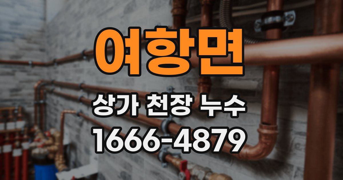 여항면 상가 천장 누수