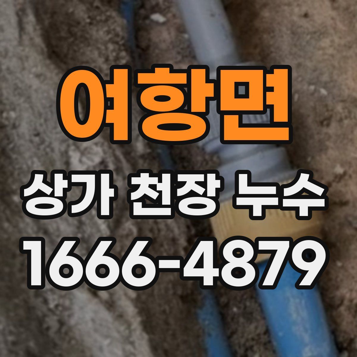 여항면 상가 천장 누수