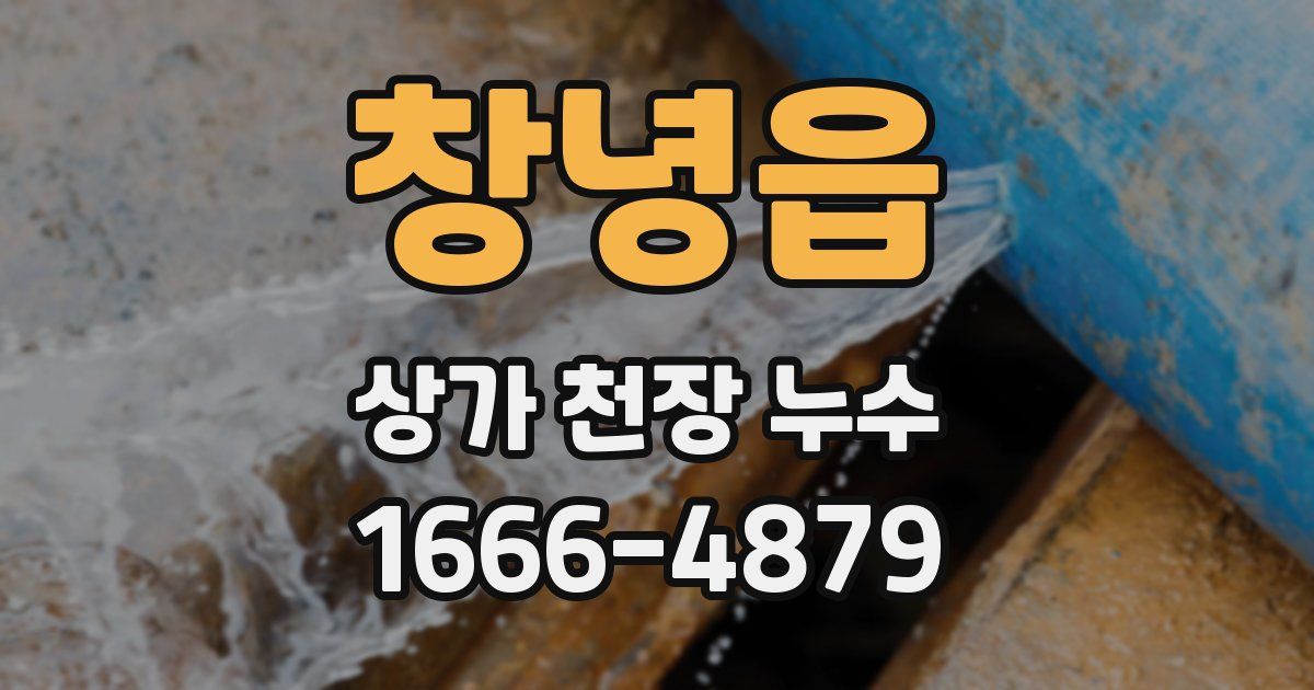 창녕읍 상가 천장 누수
