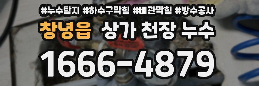 창녕읍 상가 천장 누수
