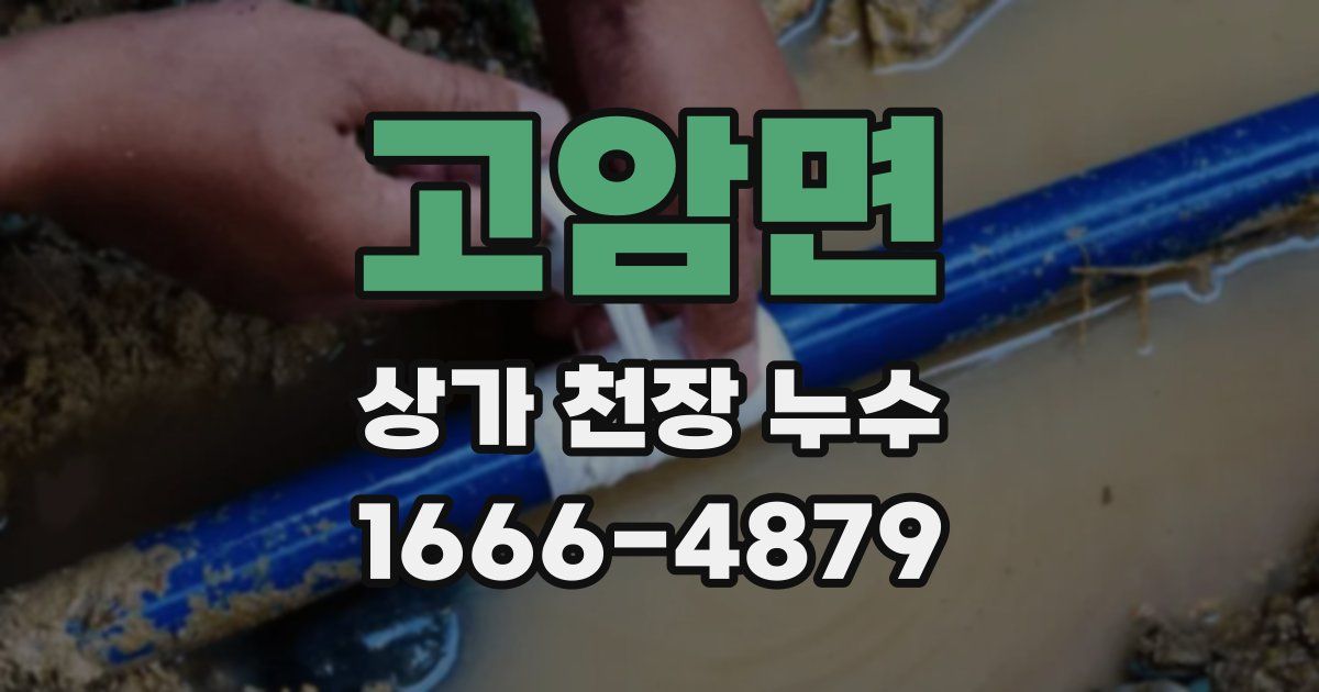 고암면 상가 천장 누수