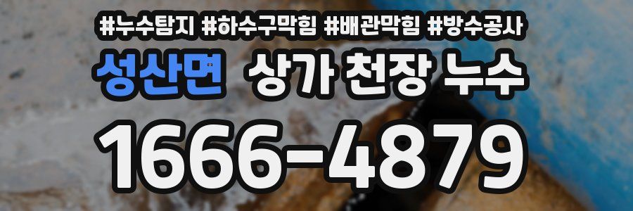 성산면 상가 천장 누수