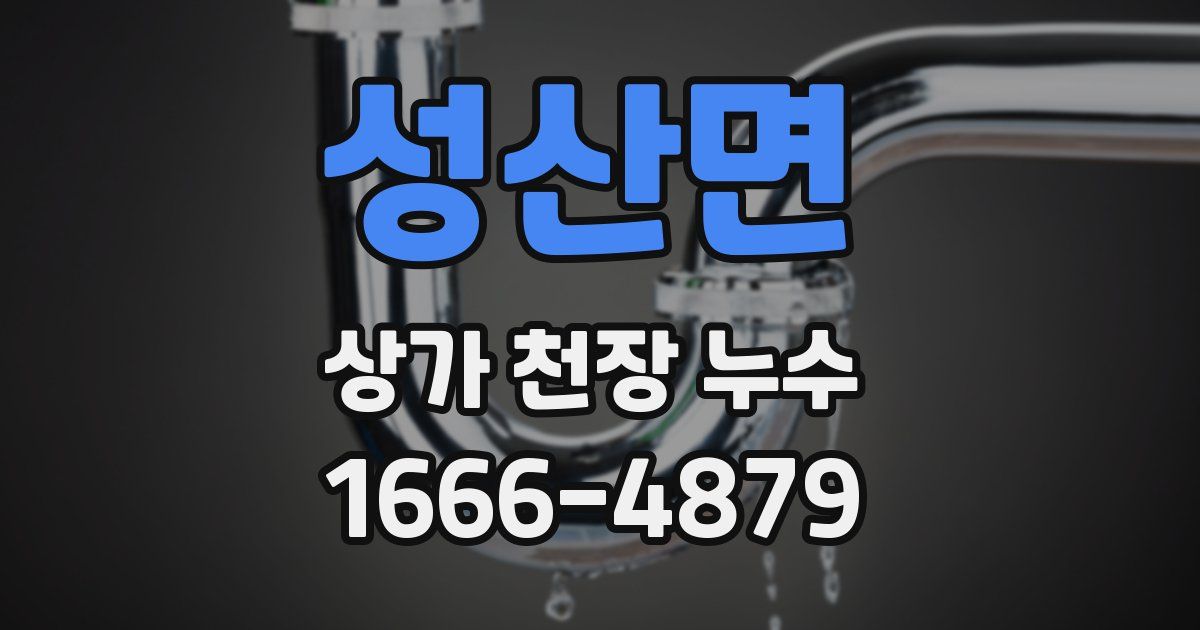 성산면 상가 천장 누수