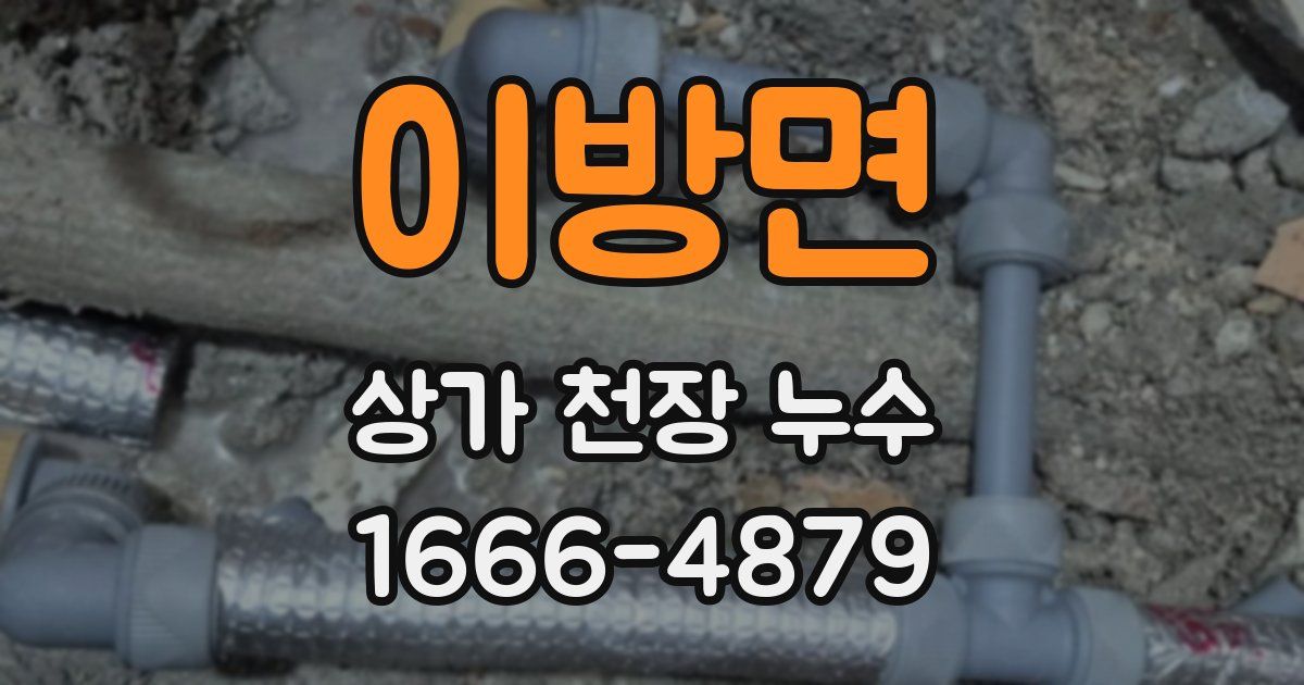 이방면 상가 천장 누수