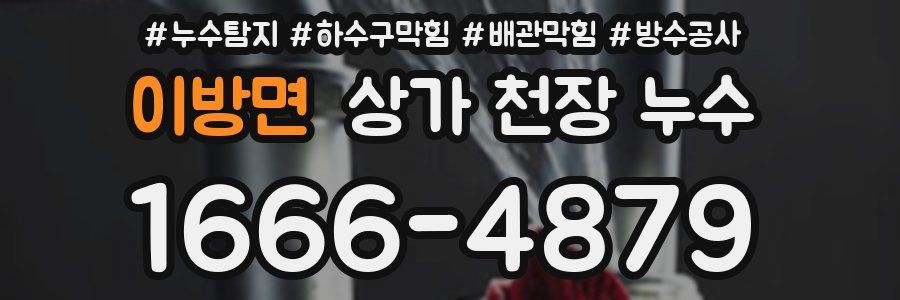 이방면 상가 천장 누수