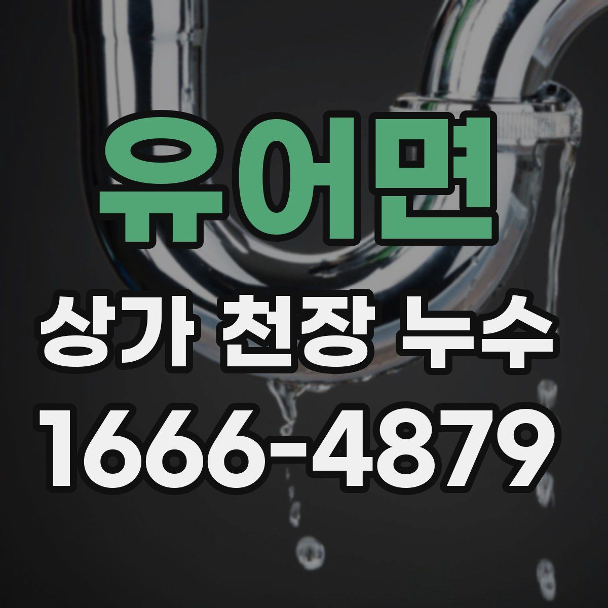 유어면 상가 천장 누수