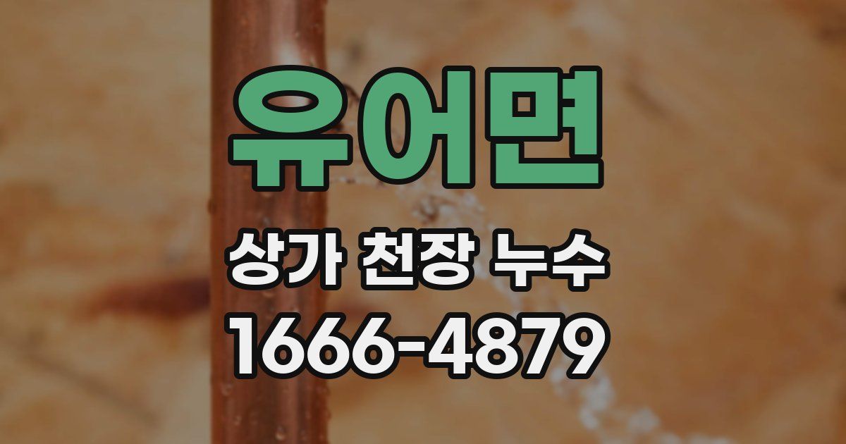 유어면 상가 천장 누수