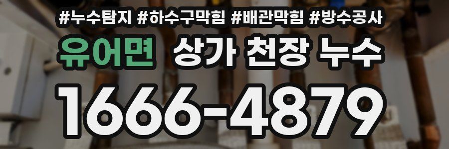 유어면 상가 천장 누수