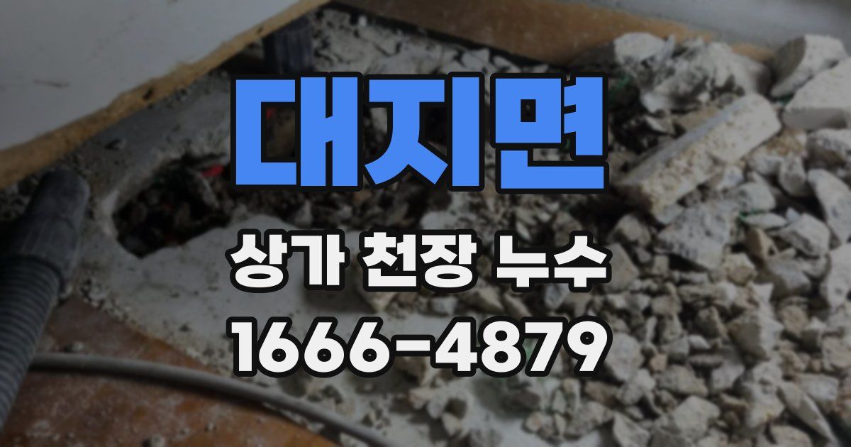 대지면 상가 천장 누수