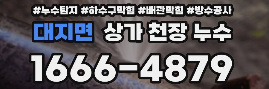 대지면 상가 천장 누수