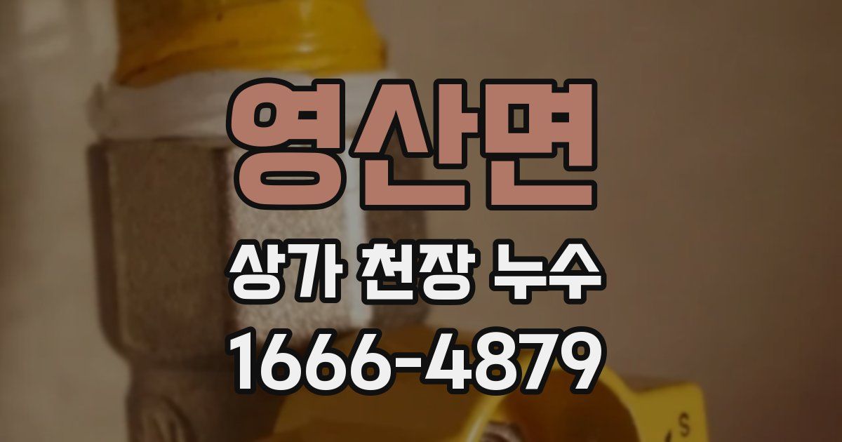 영산면 상가 천장 누수