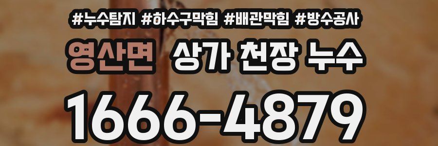 영산면 상가 천장 누수