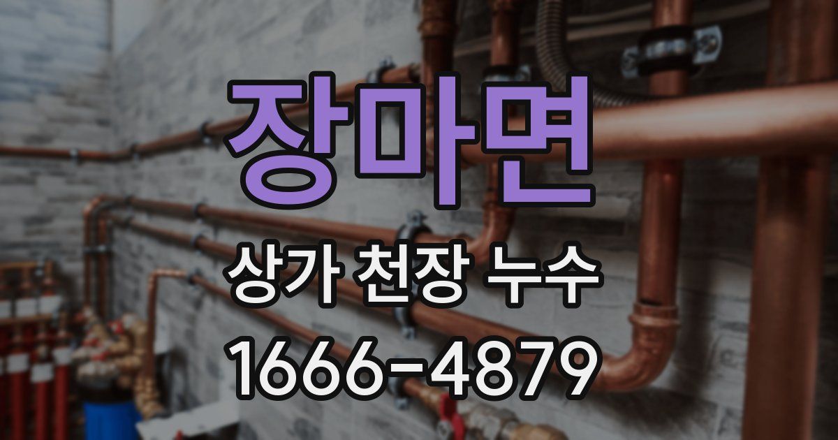 장마면 상가 천장 누수