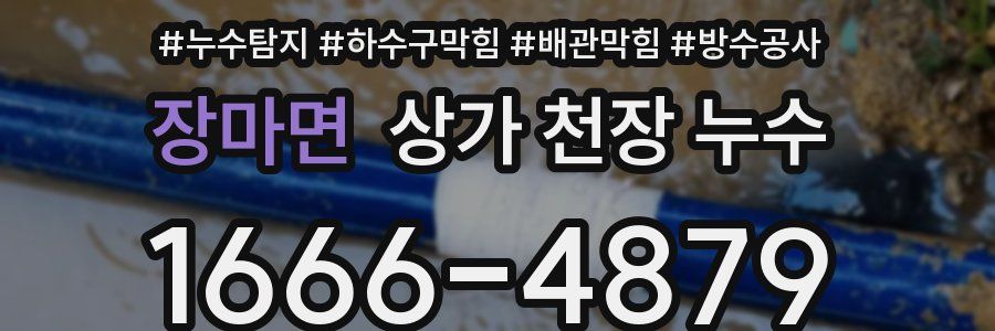 장마면 상가 천장 누수