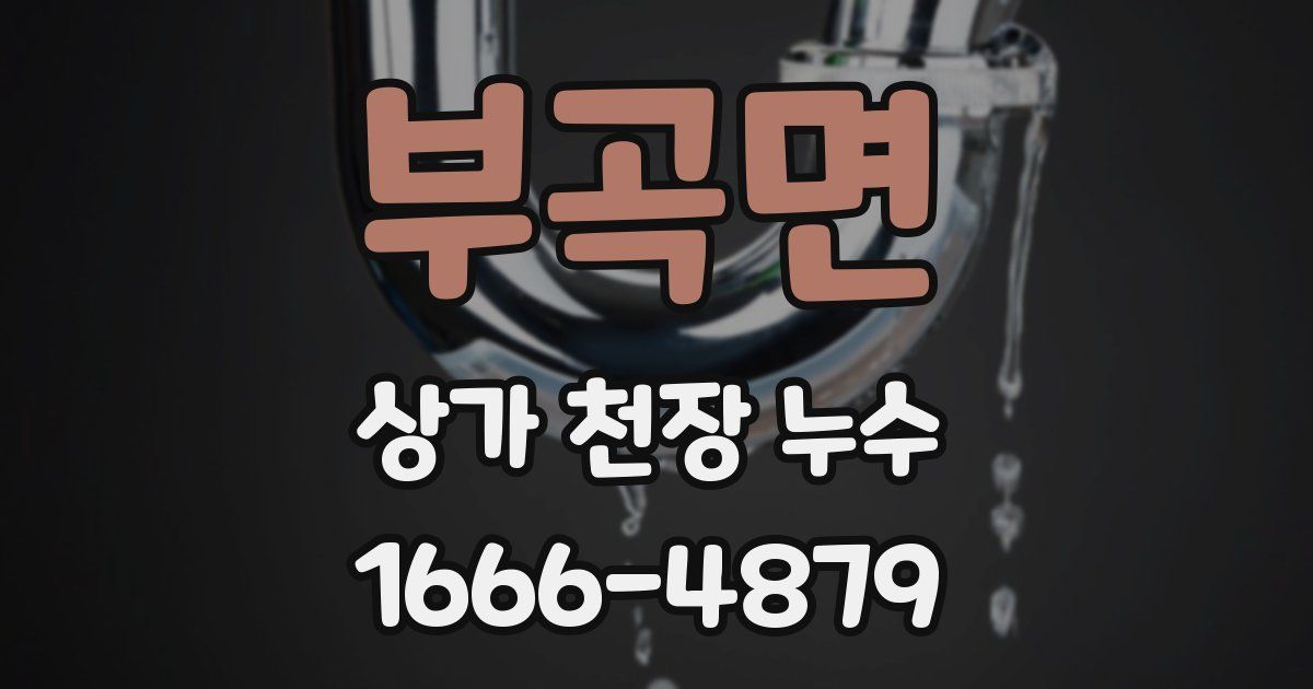 부곡면 상가 천장 누수