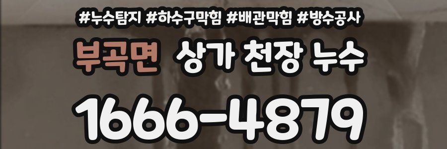 부곡면 상가 천장 누수