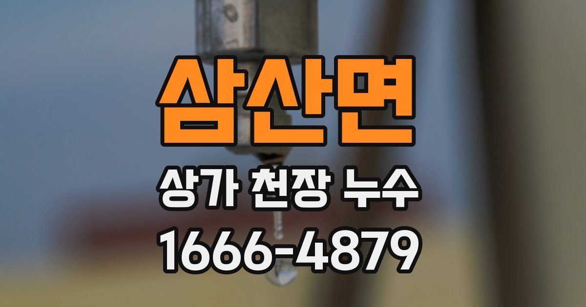 삼산면 상가 천장 누수