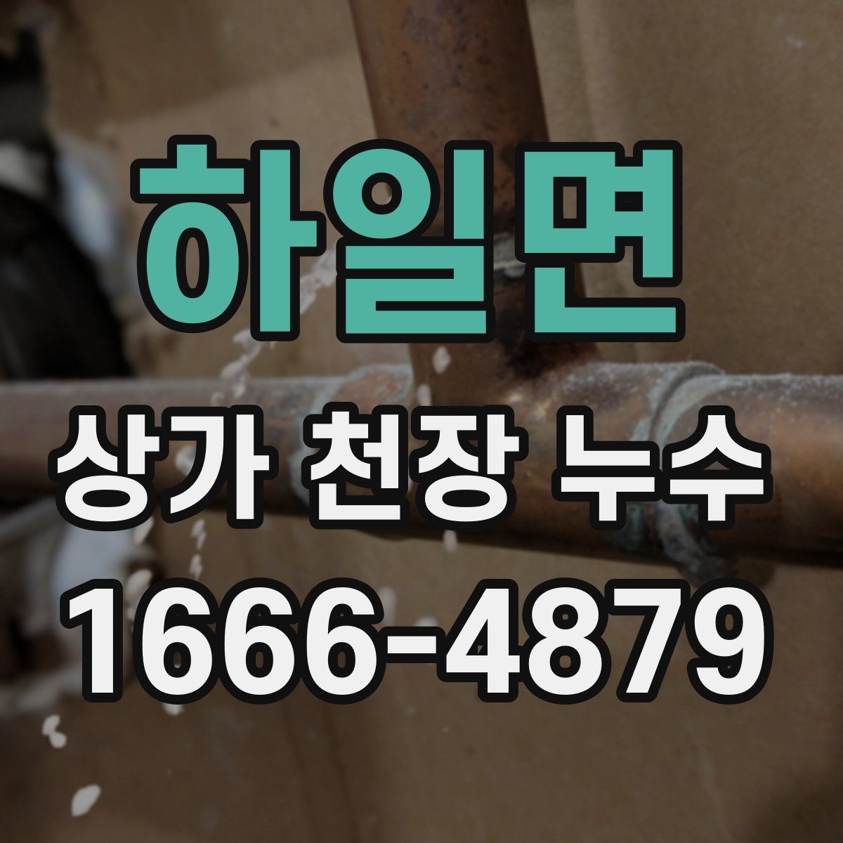 하일면 상가 천장 누수
