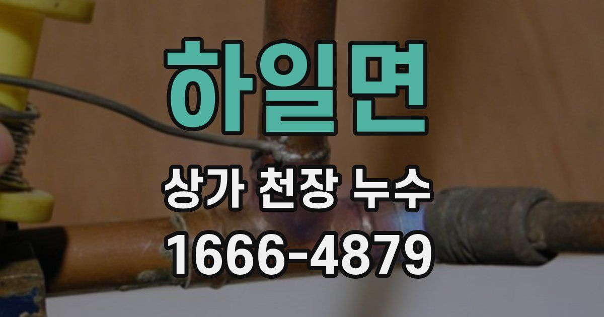 하일면 상가 천장 누수