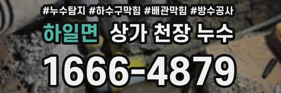 하일면 상가 천장 누수