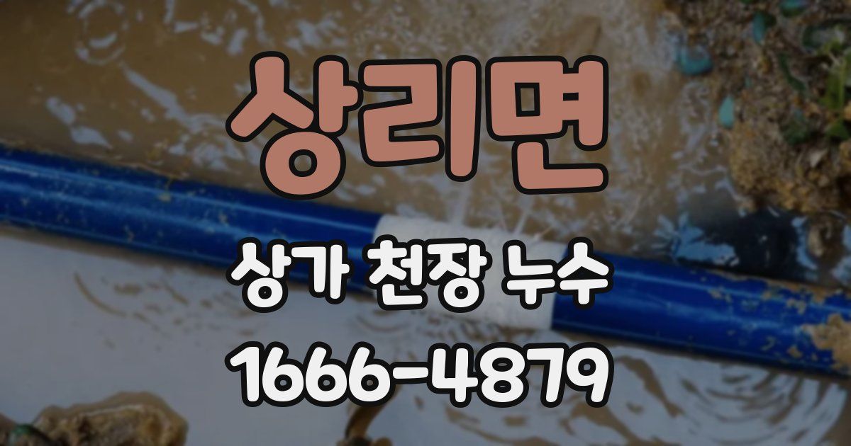 상리면 상가 천장 누수