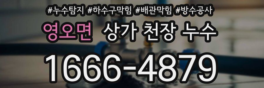 영오면 상가 천장 누수