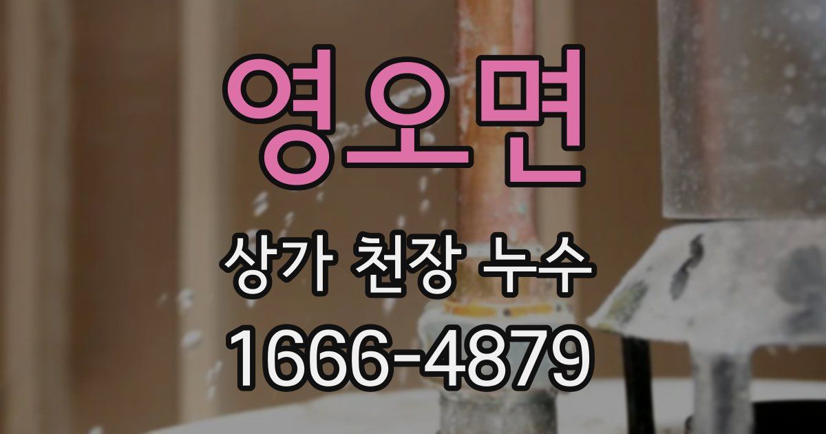 영오면 상가 천장 누수