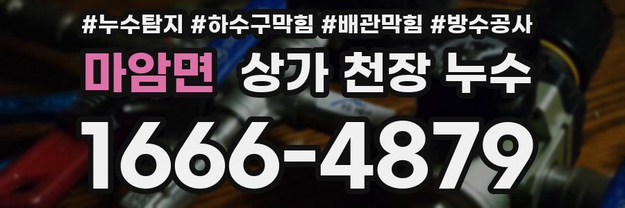 마암면 상가 천장 누수