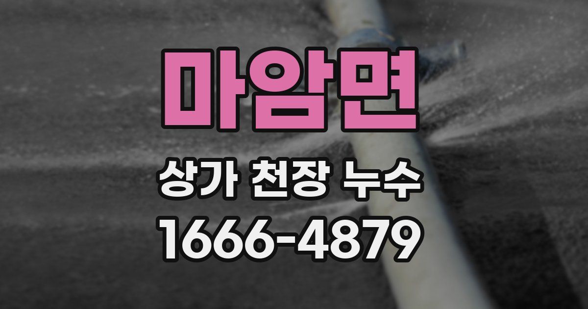 마암면 상가 천장 누수