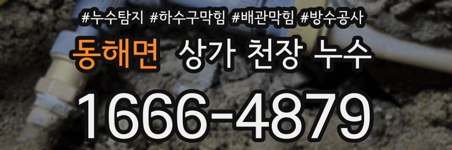 동해면 상가 천장 누수