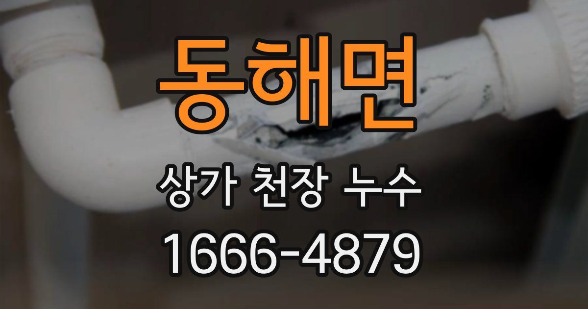 동해면 상가 천장 누수