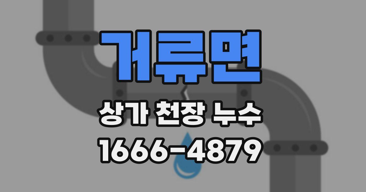 거류면 상가 천장 누수