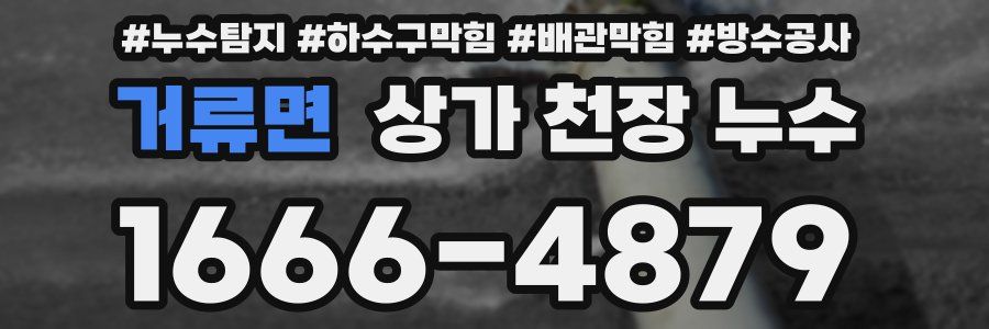 거류면 상가 천장 누수