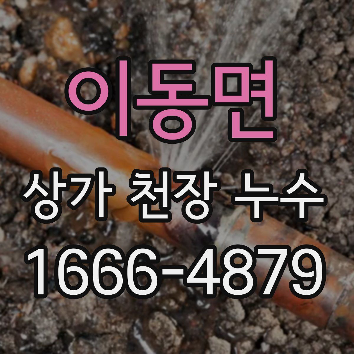 이동면 상가 천장 누수