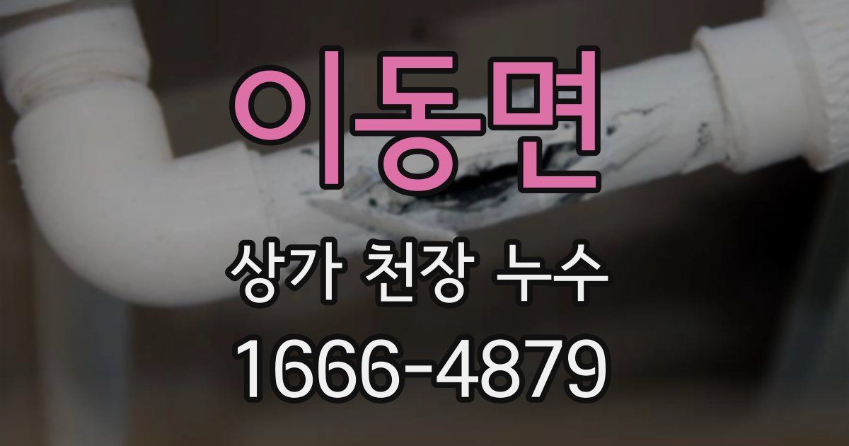 이동면 상가 천장 누수