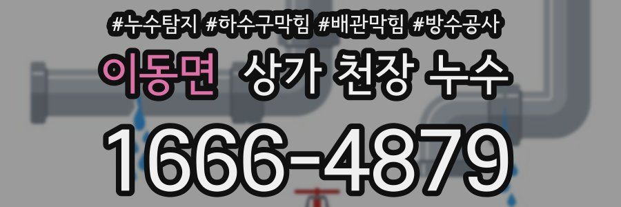 이동면 상가 천장 누수