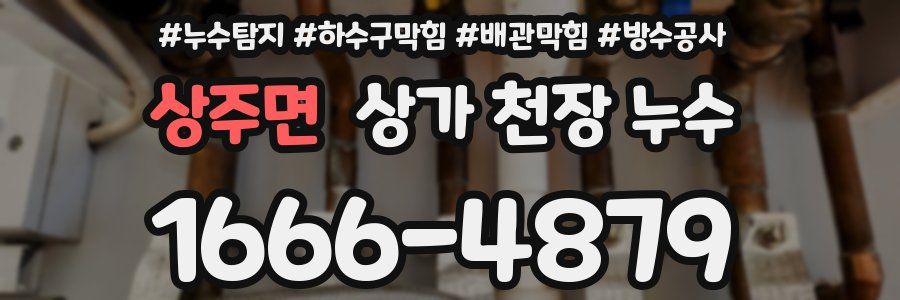 상주면 상가 천장 누수