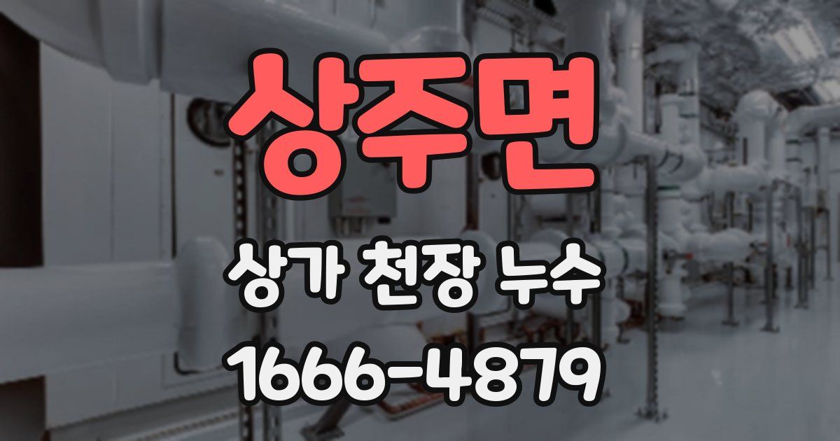 상주면 상가 천장 누수