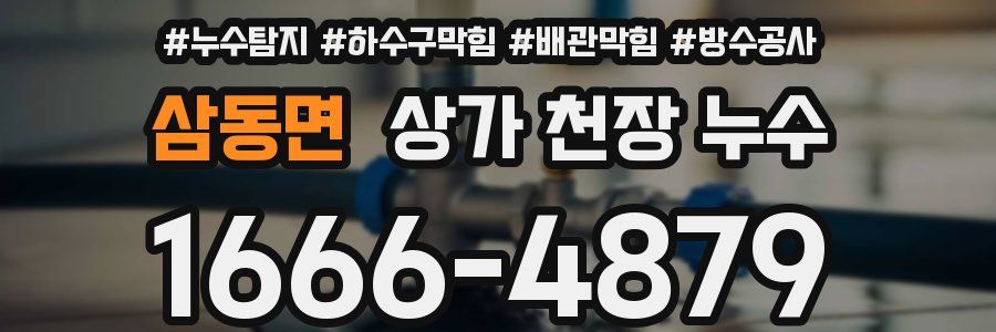삼동면 상가 천장 누수