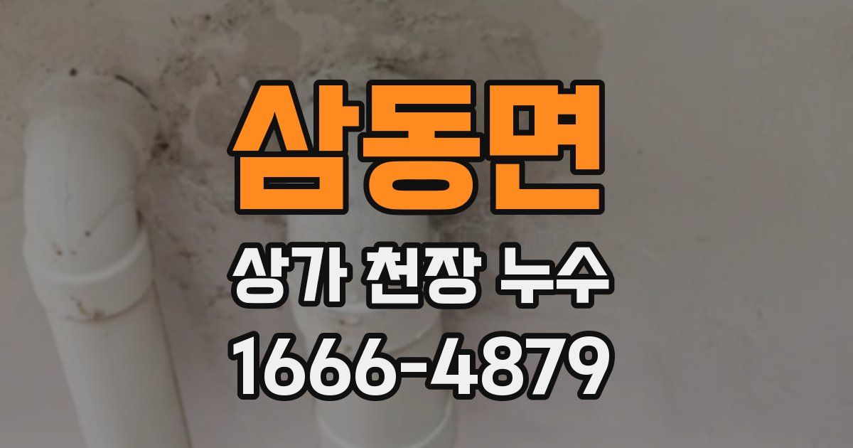 삼동면 상가 천장 누수