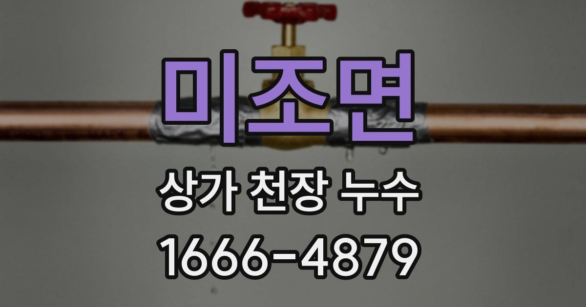 미조면 상가 천장 누수