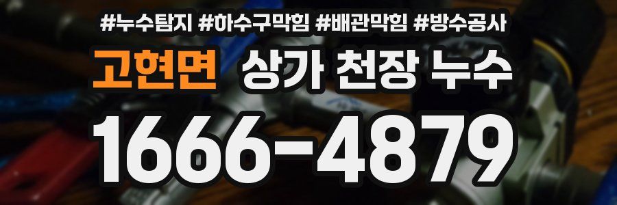 고현면 상가 천장 누수