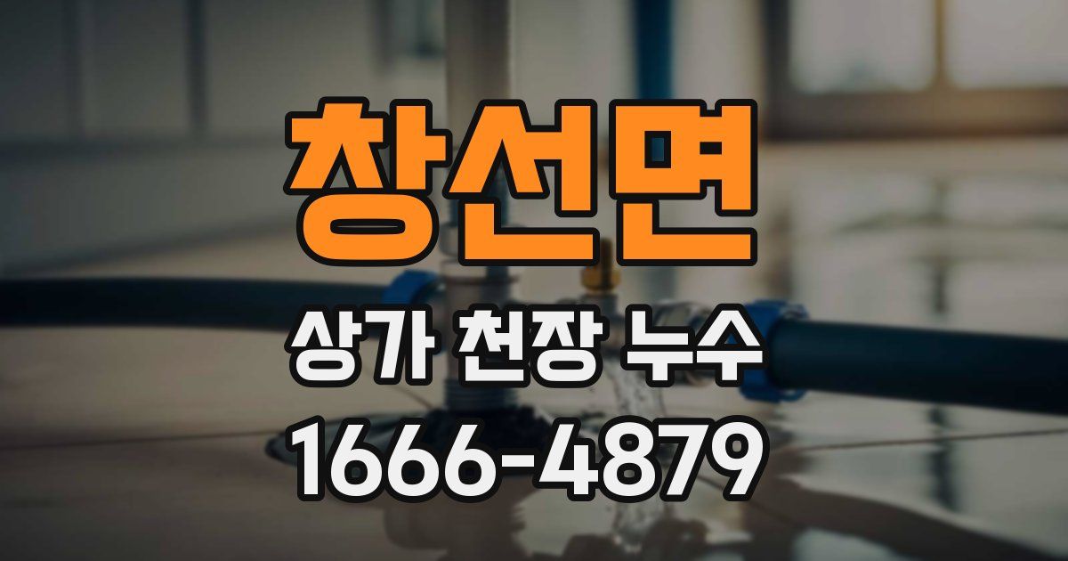 창선면 상가 천장 누수